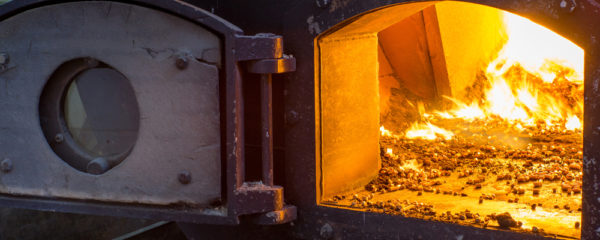 Bois de chauffage en ligne