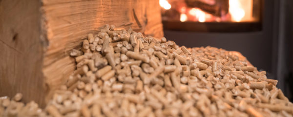 Pellets de bois